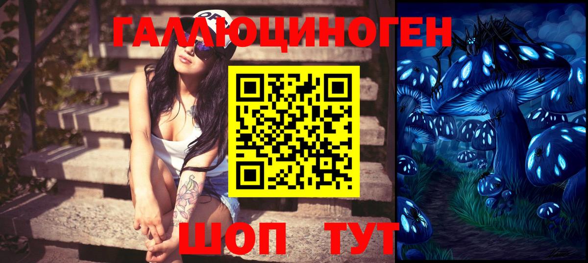 Новодвинск  Галлюциногенные грибы Psilocybe  Вход с VPN 