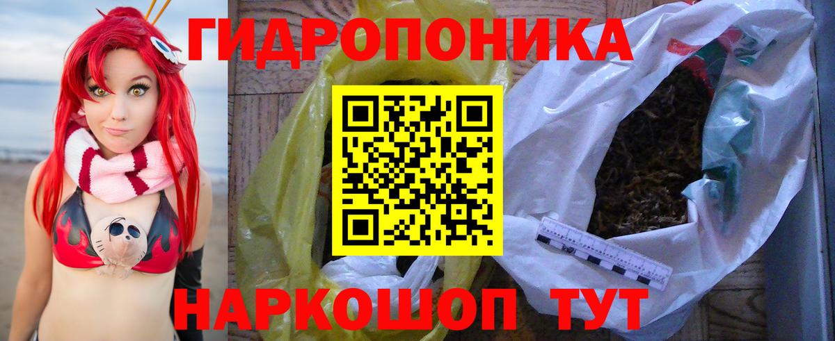 Марихуана тримм  Вход с VPN  Марихуана планчик  Шишки марихуана ГИДРОПОН  Новодвинск 