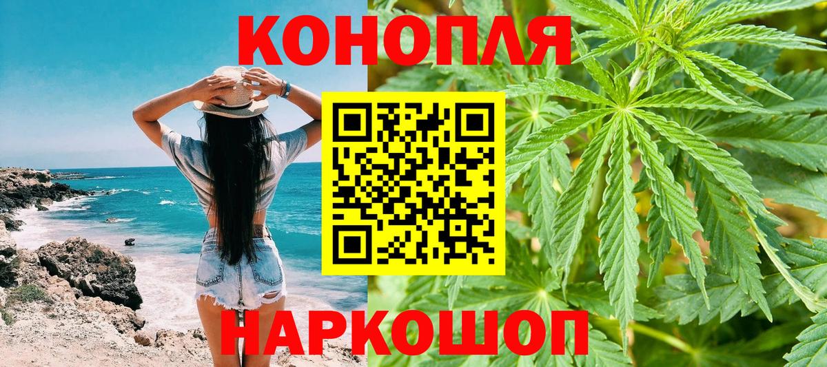 Конопля планчик Новодвинск